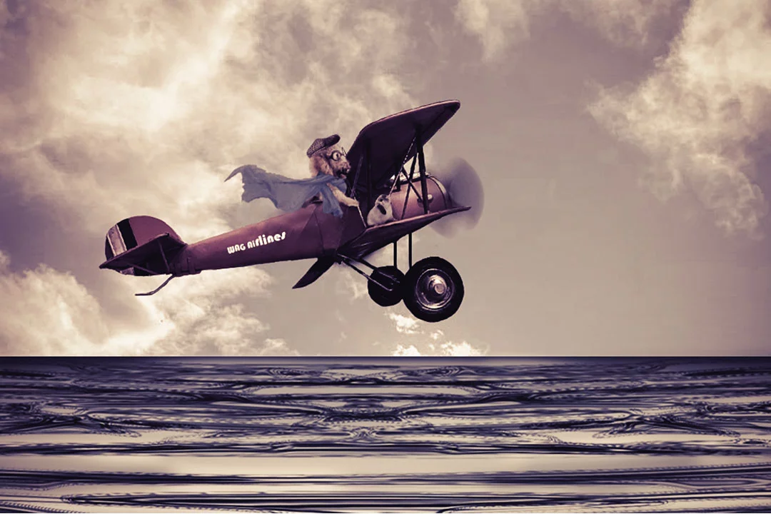 flying machine