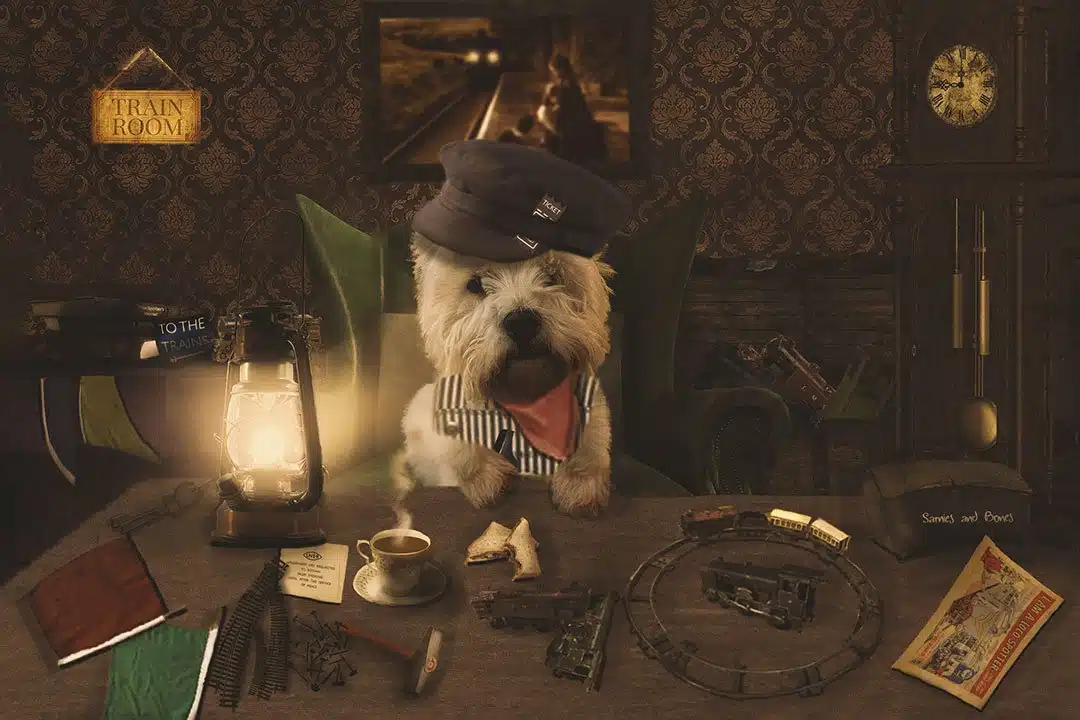 Spockey the train inspector
