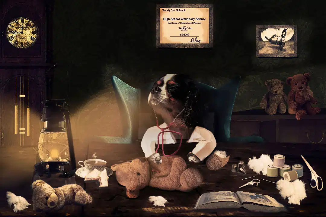 teddy doctore cartoon