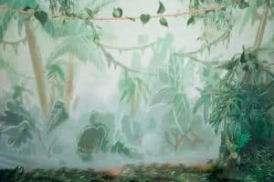 dinosaur /jungle backdrop for cakesmash in Leeds